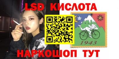 спиды Гатчина