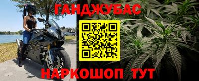 прущие крисы Гагарин
