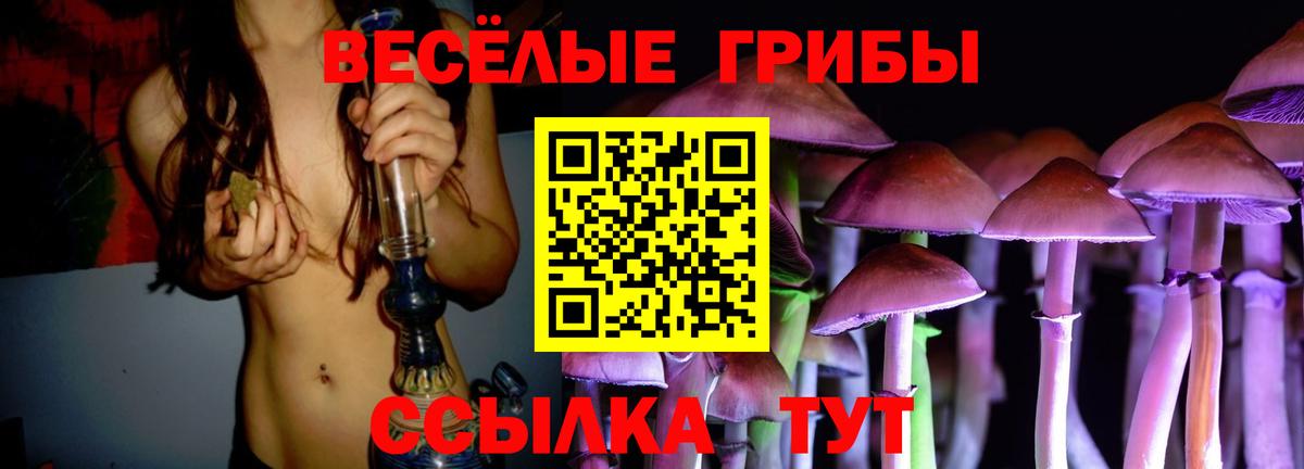Псилоцибиновые грибы MAGIC MUSHROOMS  Вход с VPN  Новоалександровск 